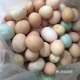 温州土鸡蛋
