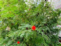 -四里沙茶面(湖滨四里店)