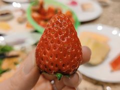 -禾斗海鲜自助(市南银座店)