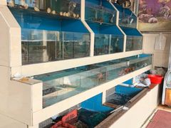 -原龙海鲜大排档(美食地标店)