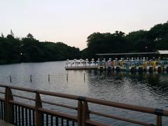 -井之头恩赐公园