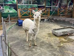 -上海大自然野生昆虫馆(东方明珠·爬宠昆虫探索中心)