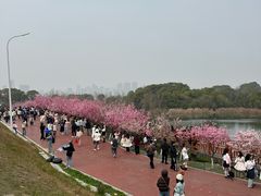 -艾溪湖湿地公园