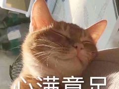 -七欣天香辣蟹火锅(南京建宁路大观天地店)