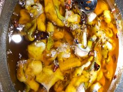 -雲蜀龙阁·金牌水煮鱼(方庄店)