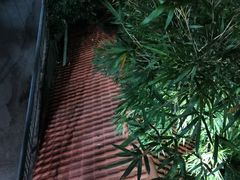 -鲤鱼塘农家山庄