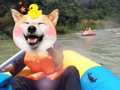 -千岛湖九龙溪漂流