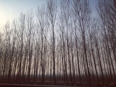 -蓟县盘山滑雪场