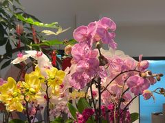 -echoes coffee回响咖啡(888街店)