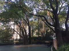 -徐家汇源景区-衡山公园