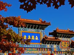 -北京西山国家森林公园