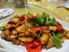 -煲来饱去冷水鱼