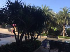 -三亚凤凰水城凯莱度假酒店