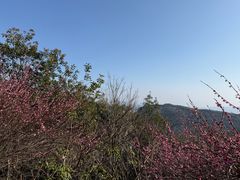 -瑞安圣井山景区