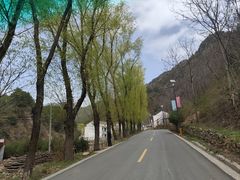 -王顺山国家森林公园