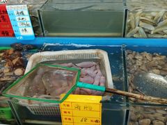 -渔民船说·北塘海鲜·天津菜·海肠捞饭(北塘古镇店)