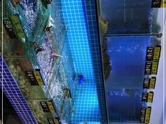 -江南村海鲜馆(洞头店)