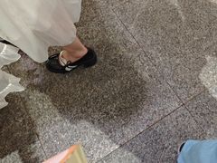 -西树泡芙(静安大悦城店)