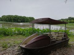 -东郊湿地公园