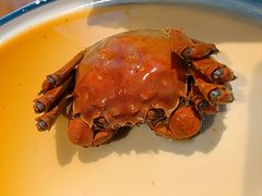 -三凤酒家·百年无锡菜(清扬茂业店)