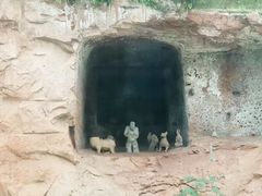 -乐山市博物馆
