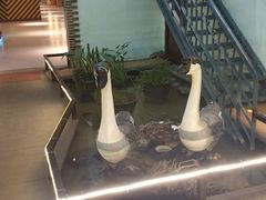 -鹅城