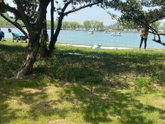 -蠡湖大桥公园