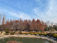 -徐州龟山景区