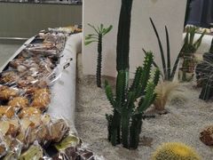 -OUR Bakery(SKP-S店)