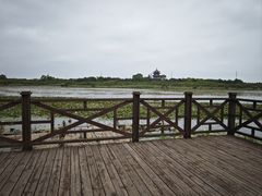 -上海海湾国家森林公园