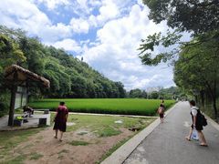 -贵阳市花溪国家城市湿地公园