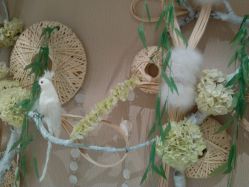 -青青一生美皮肤管理