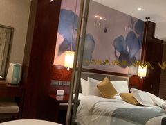-常州环球恐龙城维景国际大酒店