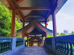 -广州神农草堂中医药博物馆
