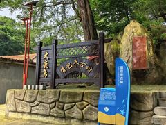 -大鹿岛