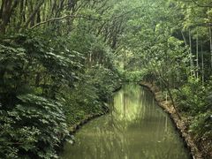 -同里国家湿地公园