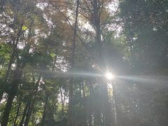 -凤栖山