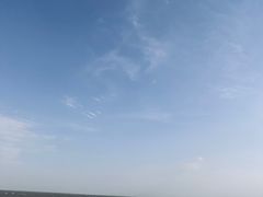 -瀛洲公园