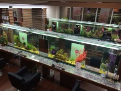 小左美发(南京东路店)-小左美发