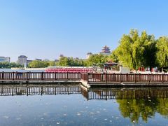 -莲花池公园
