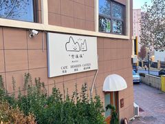 -Mado兜满满