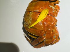 -吴越荣记苏州菜·松鼠桂鱼100%活鱼现做(斜塘老街店)