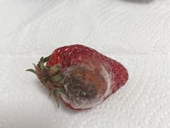 -奥士凯物美(新兴里店)