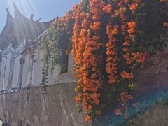 -云禾壹海景庄园餐厅