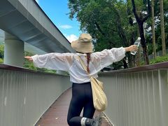 -银湖山郊野公园-相思林