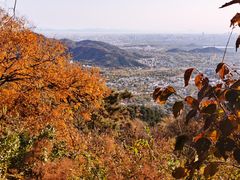 -香山公园