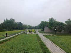 -北坞公园