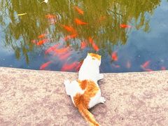 -宝通禅寺