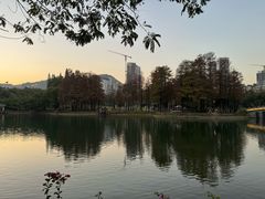 -四海公园(南山区)