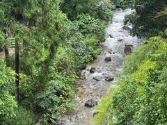-雁荡山大龙湫景区